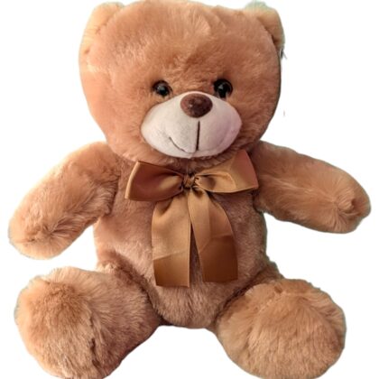 Teddy Pequeño
